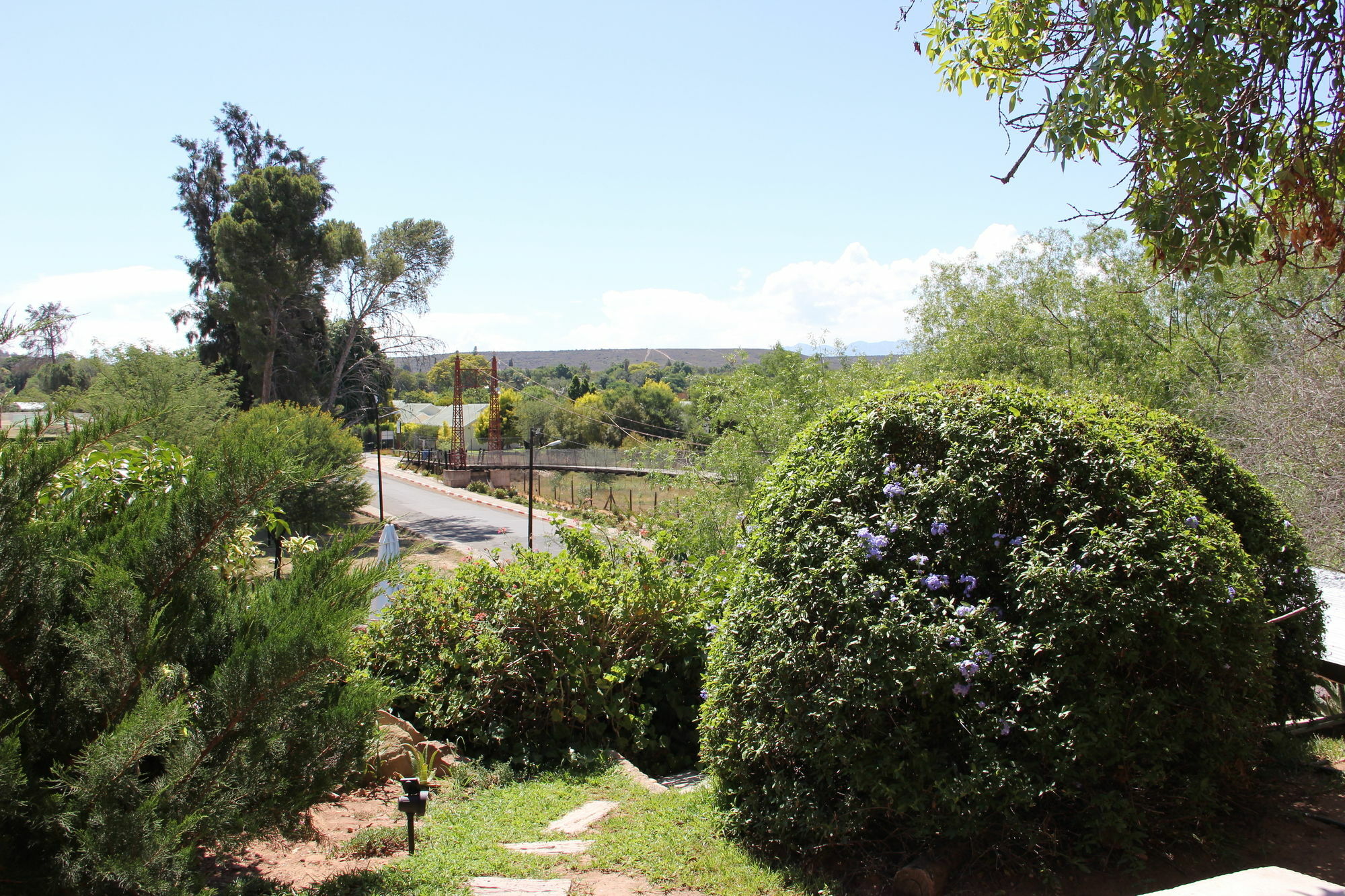 Gumtree Guest House Oudtshoorn Eksteriør billede